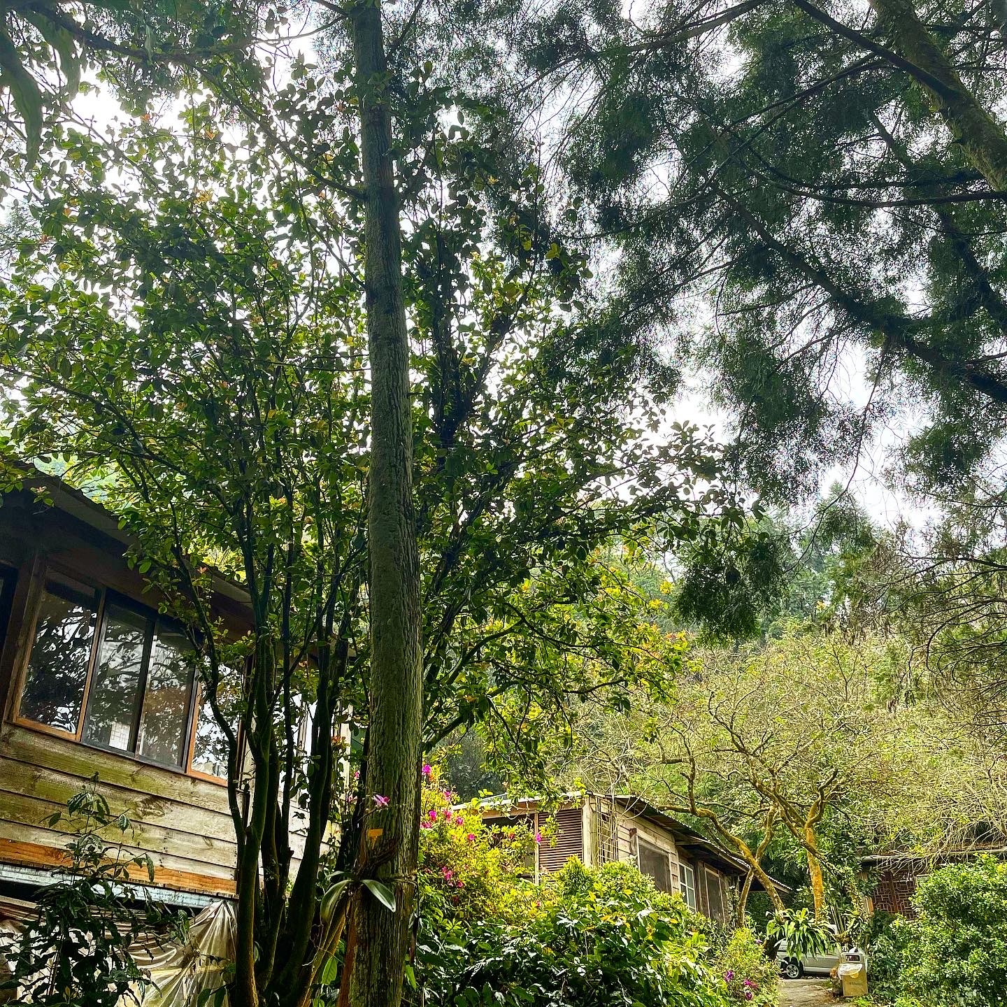 Venture into the woods and enjoy a relaxing meal with the mountain