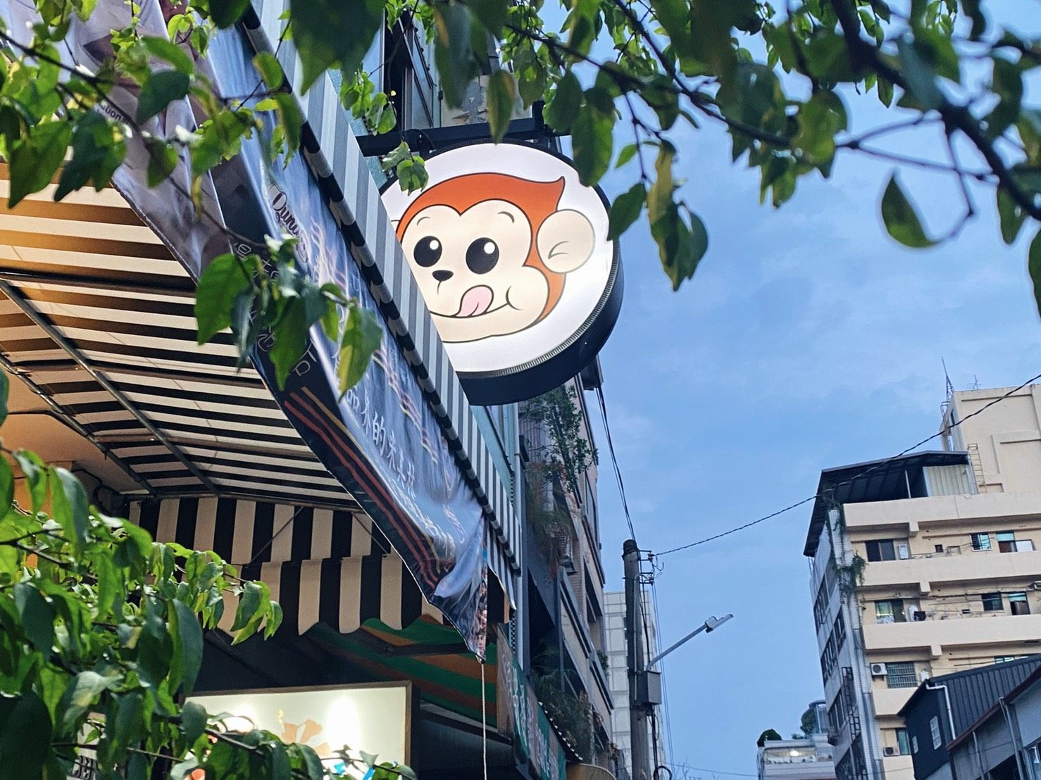 [West District, Taichung] T.luna Monkey French Cookies | Winner of the 2021 iTQi Superior Taste Award | Hidden High Mountain Tea Cookie Flavor | Bestseller Abroad | Taichung Souvenir