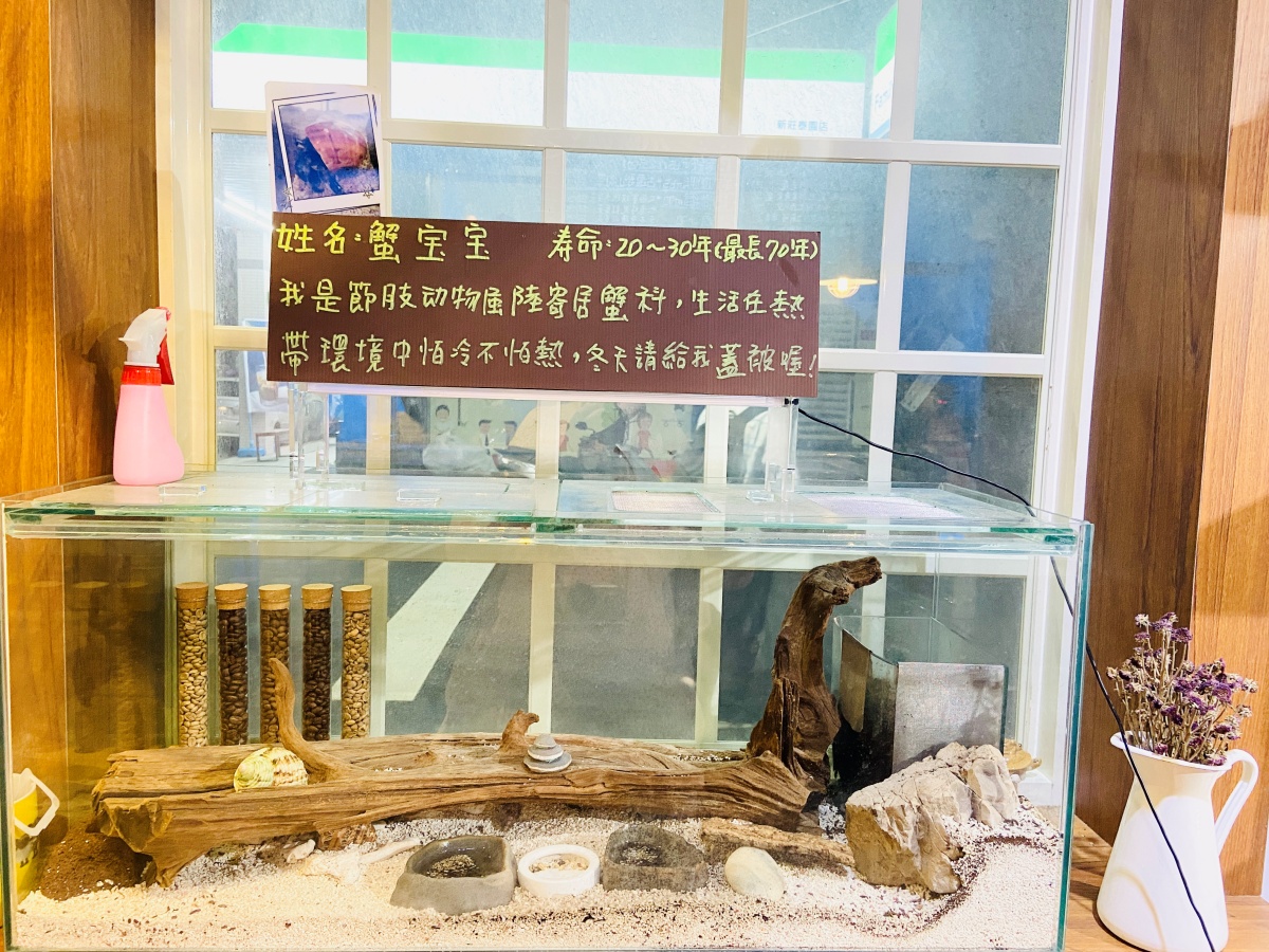 Recommended Cafe in Xinzhuang: Visit "i3.coffee" and let the coffee roaster overturn your taste buds. Who says coffee can only be bitter and astringent?