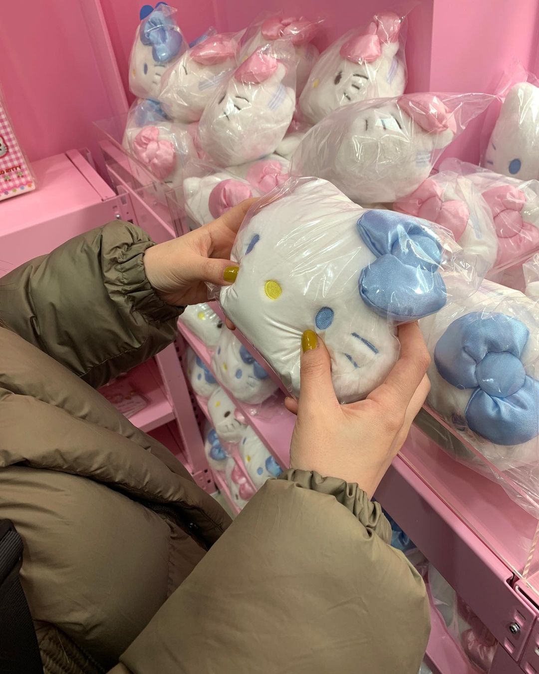 【Overseas】A Must-Visit for Kitty Fans! The Dreamy