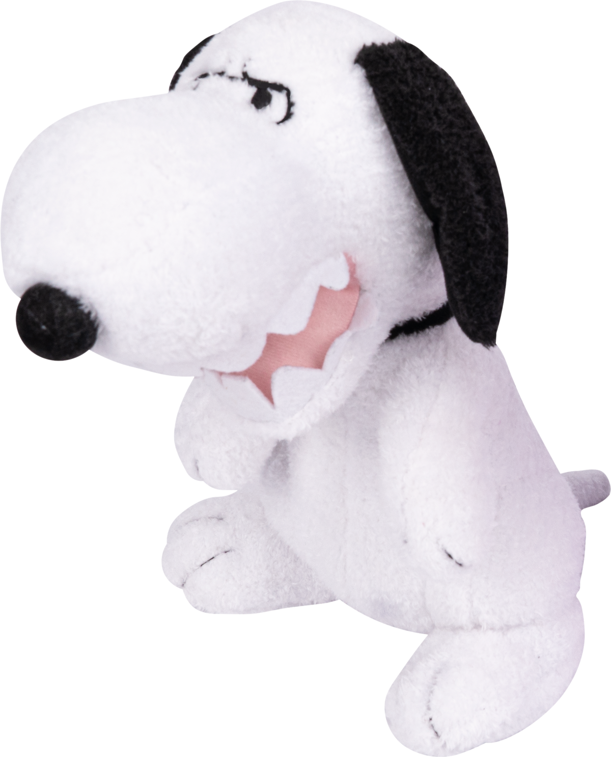 "Snoopy Celebrates New Year with You in Taichung! The World