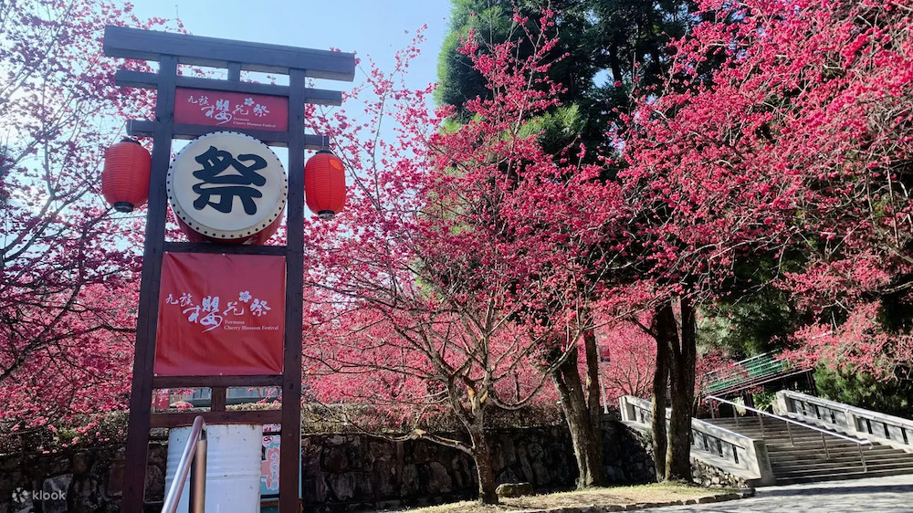 "Across Taiwan: The Beauty of Taiwan Unveiled! 7 Stunning Cherry Blossom Viewing Spots for Spring Revealed. Experience the Pink Romance Without Having to Travel to Japan!"