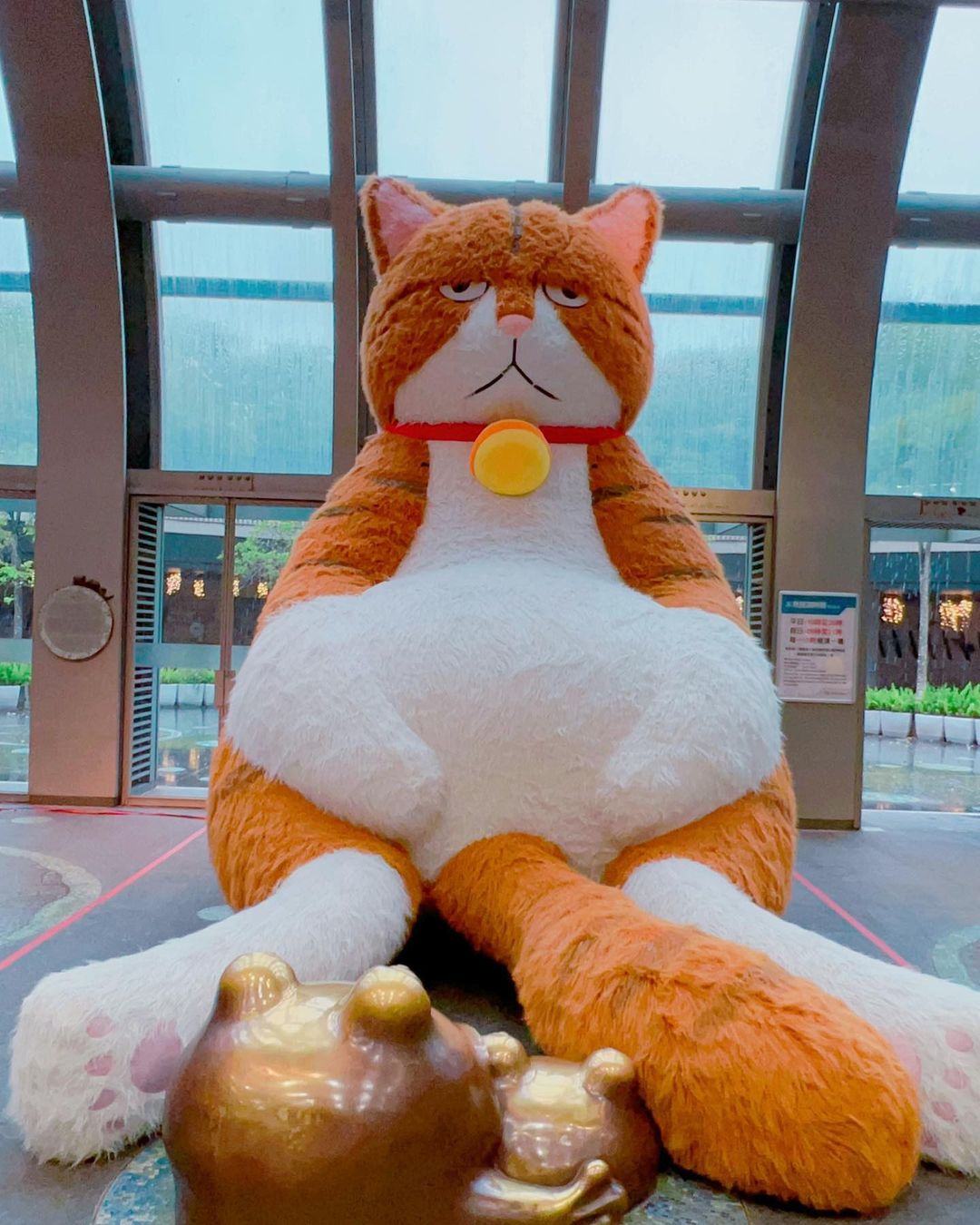 【Taipei】Calling all cat lovers! A