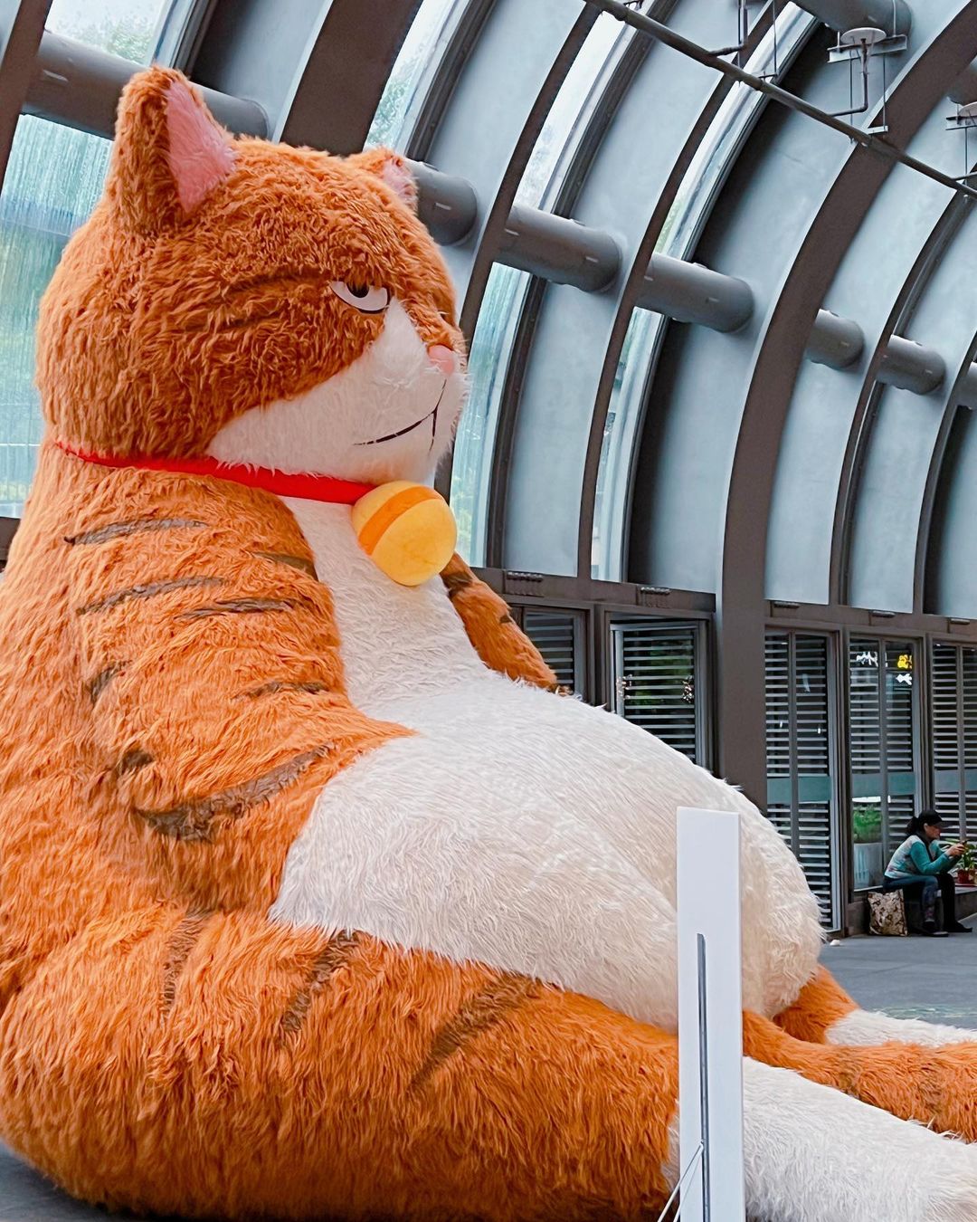【Taipei】Calling all cat lovers! A