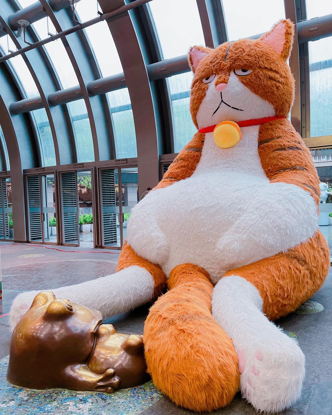 【Taipei】Calling all cat lovers! A