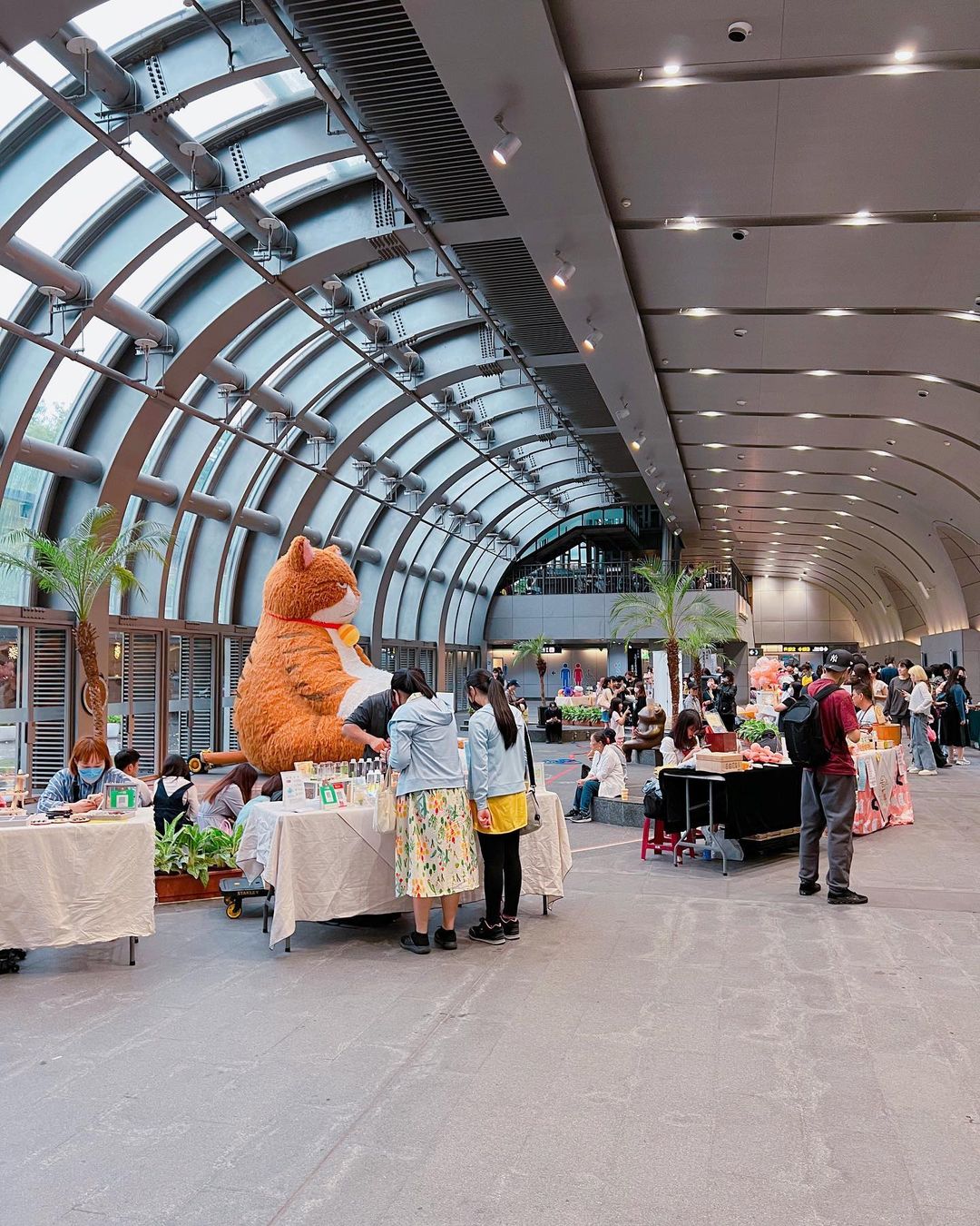 【Taipei】Calling all cat lovers! A