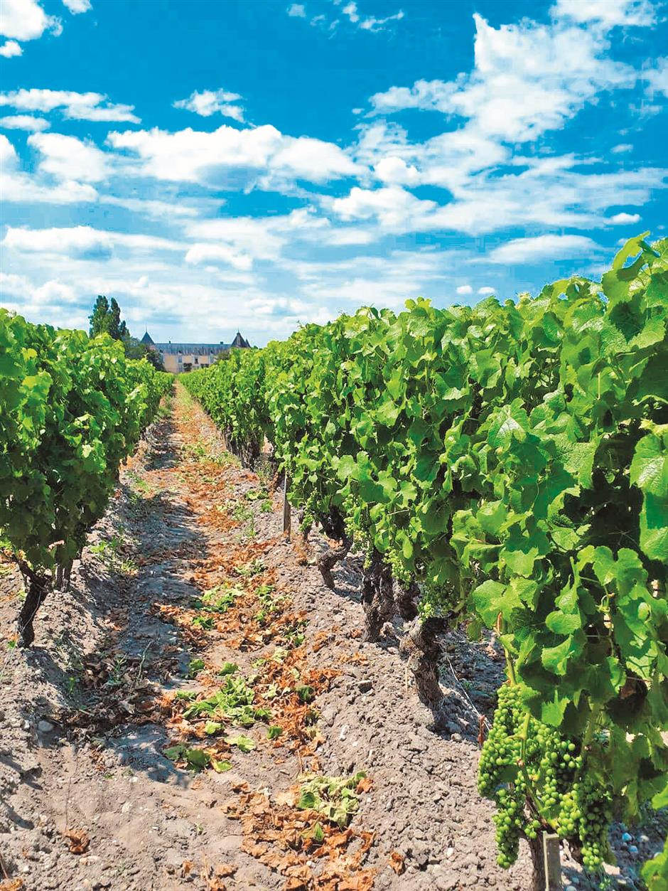 The sweet vino art of assuaging stinky foods