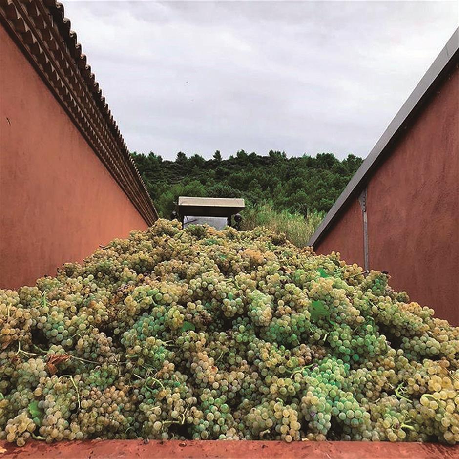 Bamboozling world of natural wines